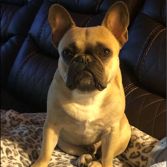 Meet your Posher, Melissa - Picture 2 of 3